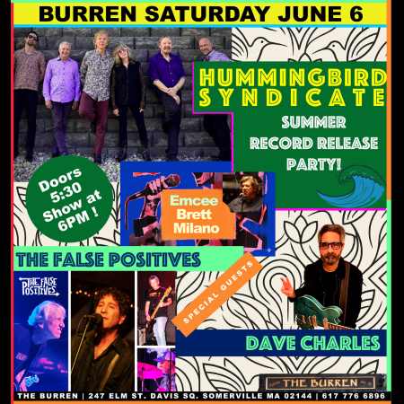 Hummingbird Syndicate summer single release, with guests Dave Charles and False Positives